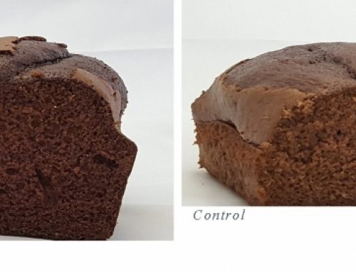 Chocolate Cake Improver